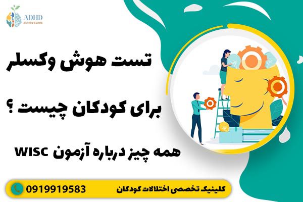 تست هوش وکسلر برای کودکان چیست ؟ همه چیز درباره آزمون WISC